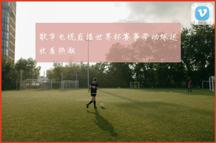 歌华电视直播世界杯赛事带动球迷收看热潮