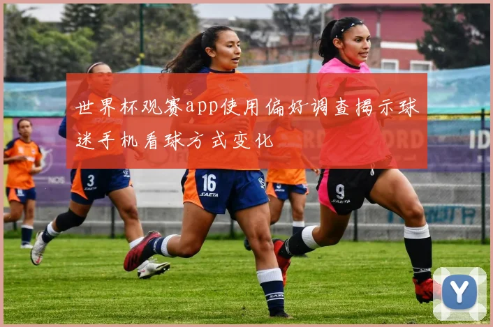 世界杯观赛app使用偏好调查揭示球迷手机看球方式变化