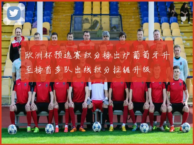 欧洲杯预选赛积分榜出炉葡萄牙升至榜首多队出线积分拉锯升级