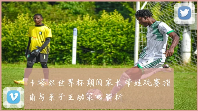 卡塔尔世界杯期间家长带娃观赛指南与亲子互动策略解析